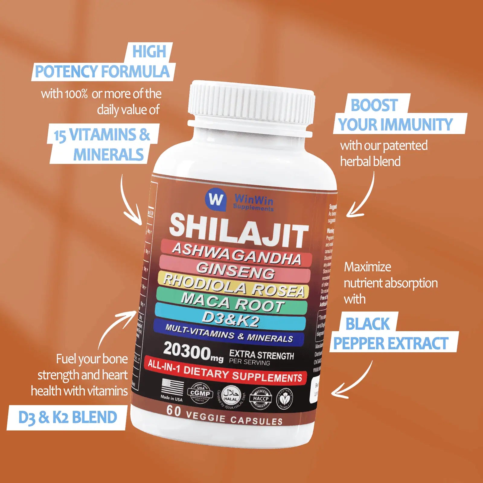 Shilajit Supplement 12000mg, Ashwagandha, Ginseng, Rhodiola Rosea, Maca Root with Multivitamin & Minerals, 60 Capsules