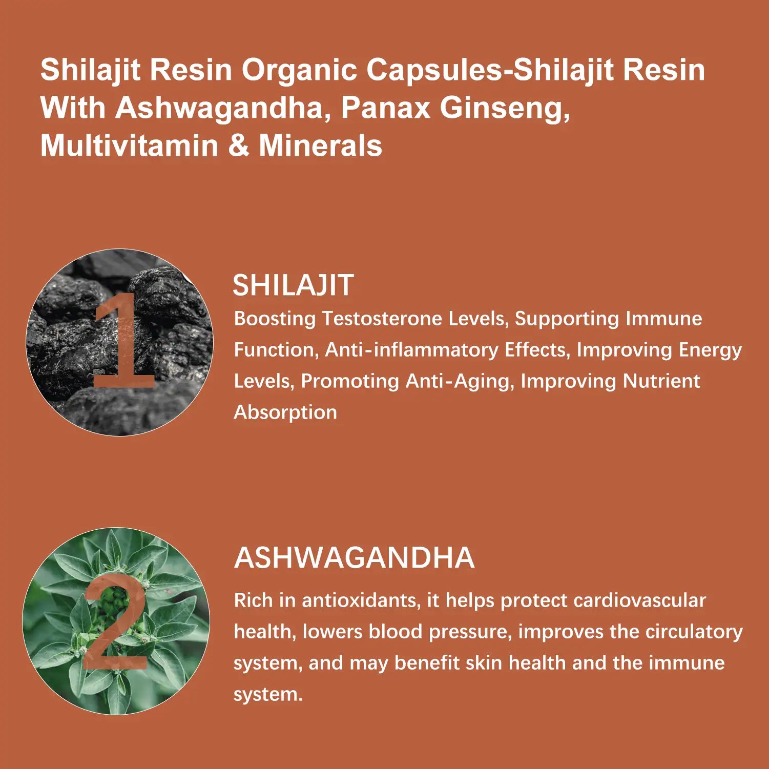 Shilajit Supplement 12000mg, Ashwagandha, Ginseng, Rhodiola Rosea, Maca Root with Multivitamin & Minerals, 60 Capsules
