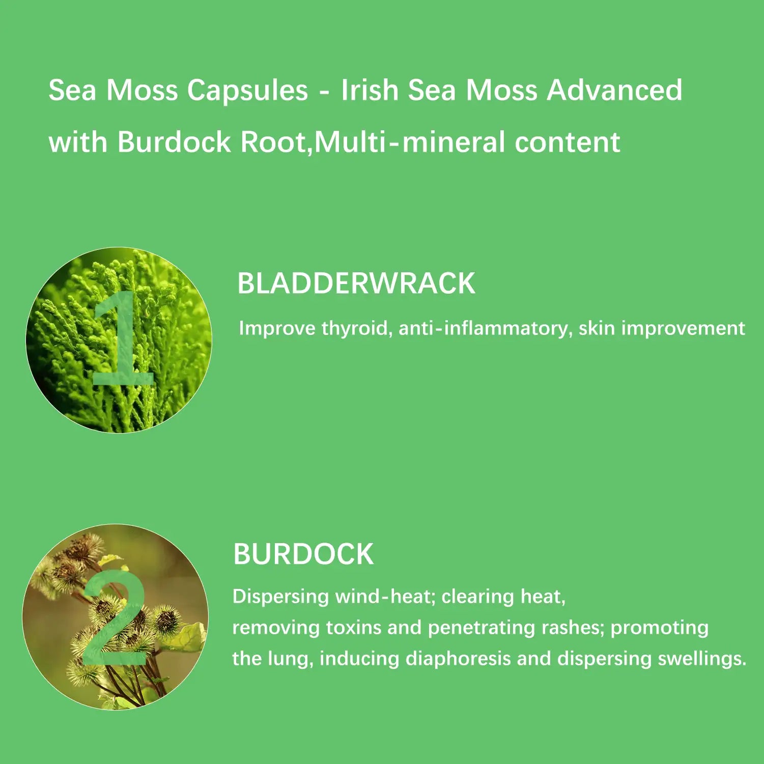 Organic Irish Sea Moss Supplement Capsules